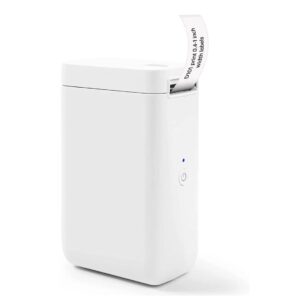 Rotuladora Etiquetas Portátil Térmica Niimbot D101