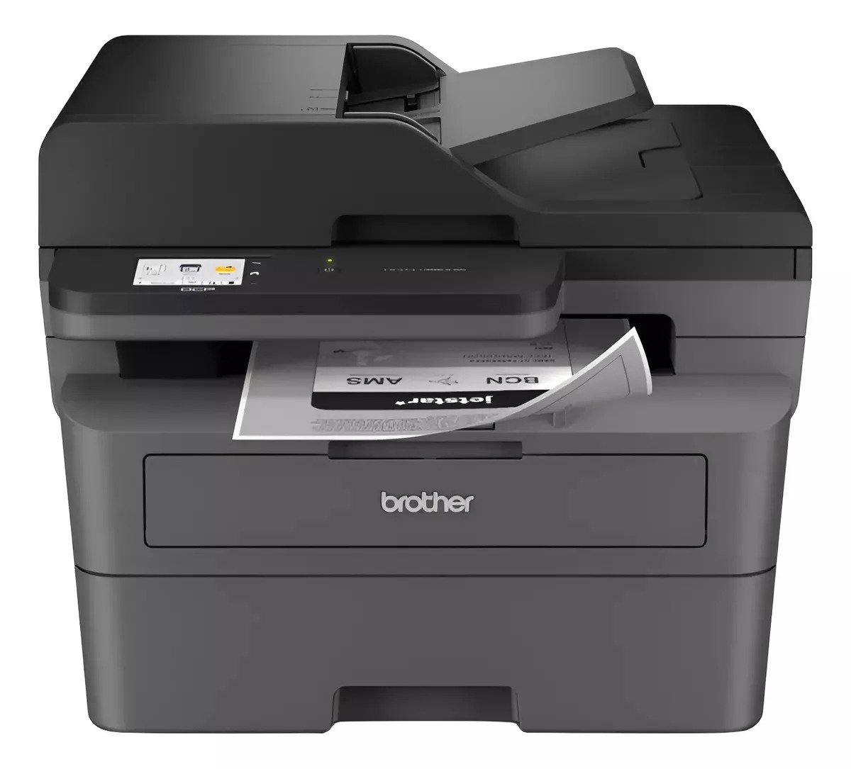 WhatsApp Image 2024-12-19 at 12.08.44